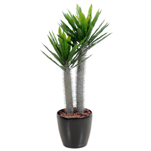 Pachypodium Artificiel PLAST 2 Troncs Avec Aiguilles Pour Extérieur