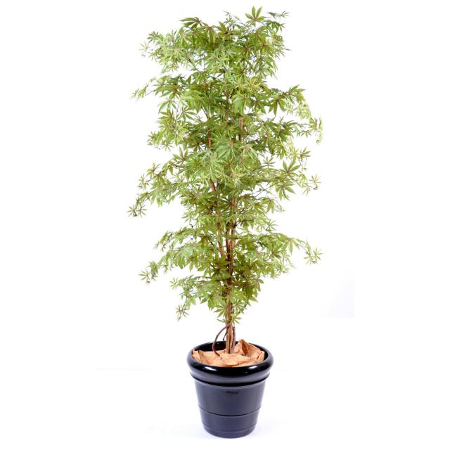 Aralia NEW Erable Artificiel Vert OU Vert/rouge de 150 cm à 210 cm