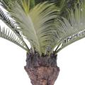 Cycas artificiel tronc