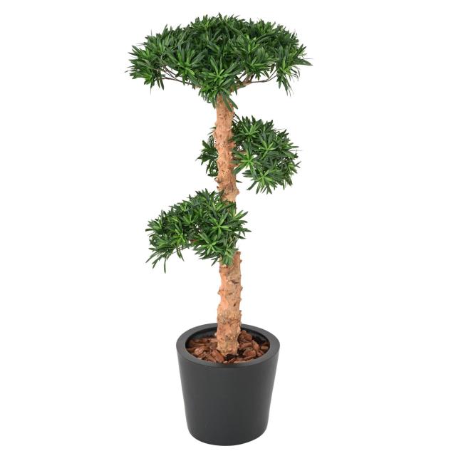 Podocarpus Artificiel Nuage - Méditérranéen Artificiel