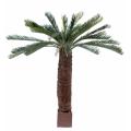 Cycas Artificiel Geant