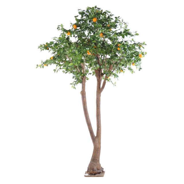 Oranger Artificiel Arbre Double - Méditérranéen Artificiel