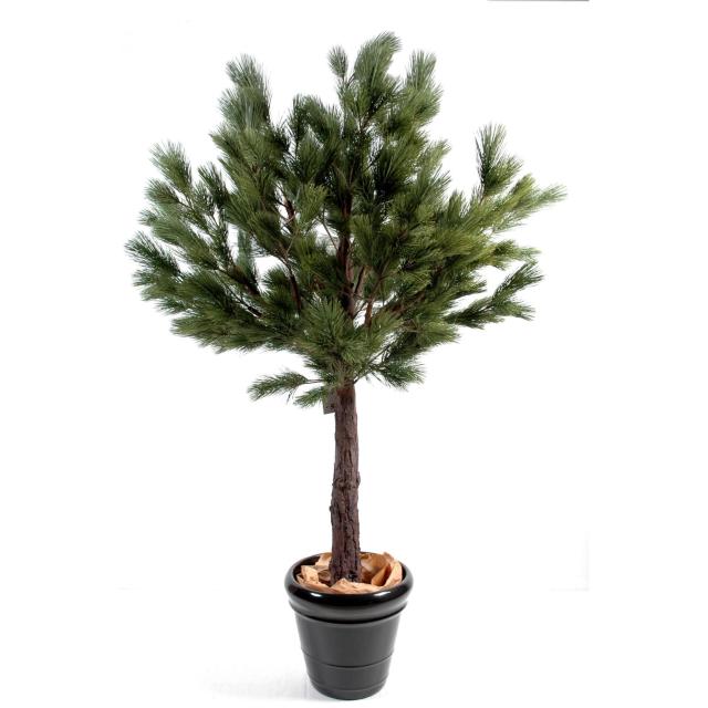 Pin Autriche Tête Artificiel de 170 cm de Hauteur en Pot