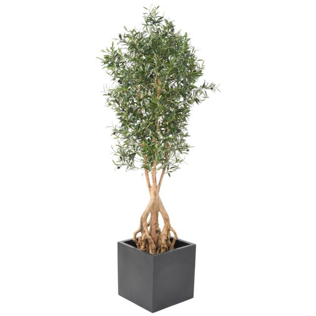 Olivier Artificiel NEW Root de 175 cm de Hauteur