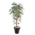 Ficus artificiel tronc simple grandes feuilles