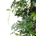 Glycine artificielle Multi Tree
