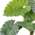 Alocasia artificiel Calidora