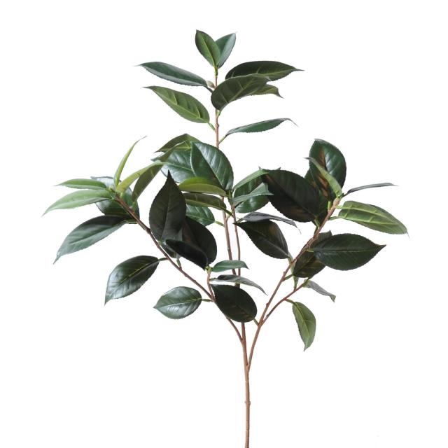 Tige de Camelia Artificielle Japonica SPRAY Sans Fleurs 70 cm de Haut