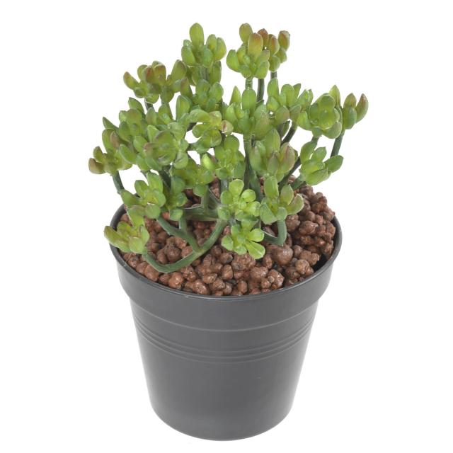 Succulente *34 Artificielle