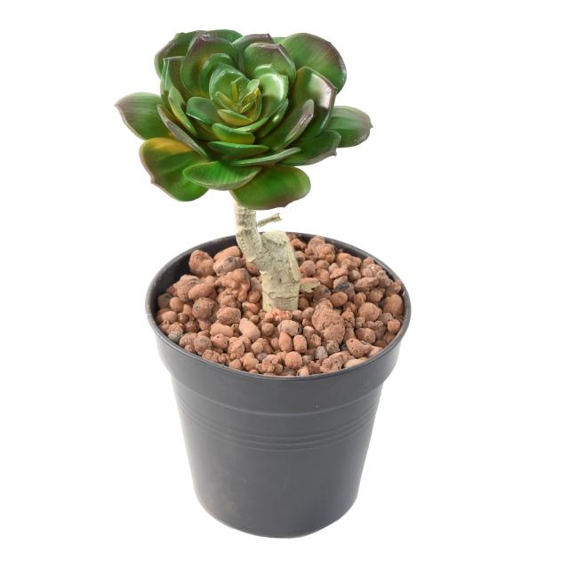 Succulente Artificiel Ronde 15
