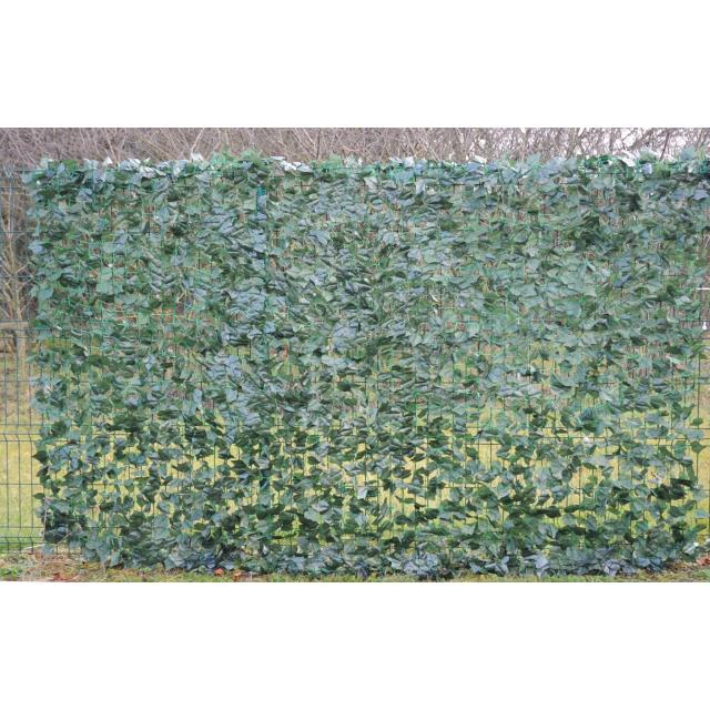 Brise Vue Lierre Filet 2 m X 3 m Pour Extérieur