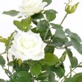 Rosier artificiel Royal 60 cm