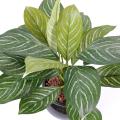 Xanthosoma artificiel
