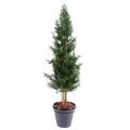 Cyprès artificiel de Lawson UV résistant Chamaecyparis