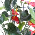 Anthurium artificiel 13 fleurs