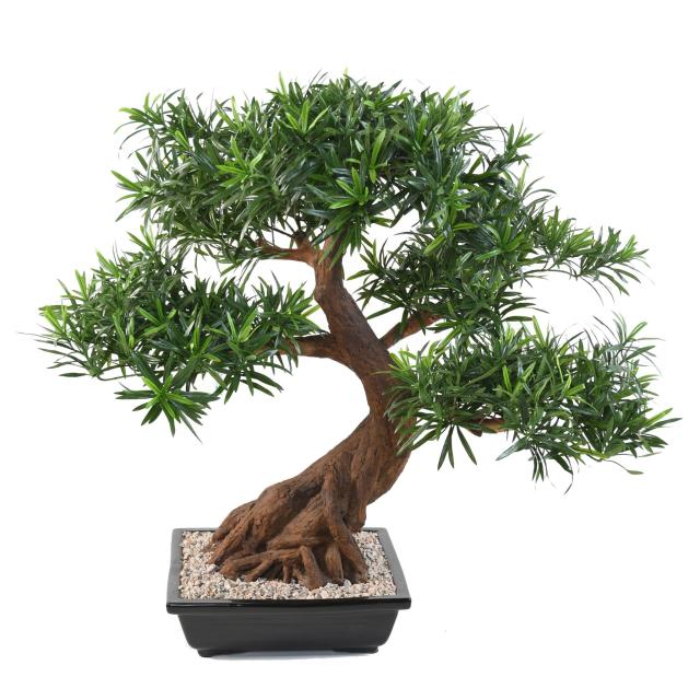 Bonsai Artificiel Podocarpus en Coupe - Bonsais Artificiels