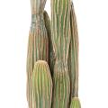 CACTUS Artificiel FINGER X