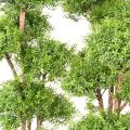 EUCALYPTUS Artificiel M TREE UV