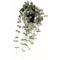 Ceropegia artificiel Chaine des coeurs