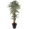 Ficus artificiel Lianes grandes feuilles