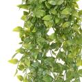 Tradescantia Artificiel 85