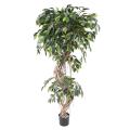 Ficus artificiel S