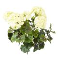Geranium UV Artificiel