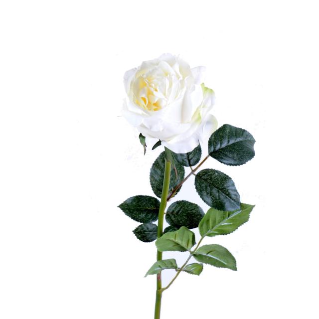 Rose Anglaise Artificielle : Tige de 80 cm de Hauteur Blanc et Crème