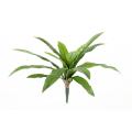 Asplenium artificiel 15