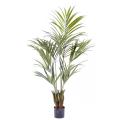 Kentia Artificiel Palm