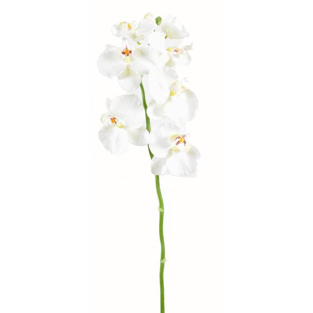 Orchidée Pahalaenopsis Artificielle en Tige de 85 cm de Hauteur Blanc