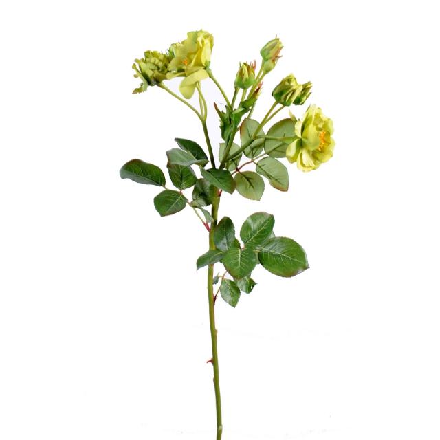 Rose Sauvage Artificielle Verte en Tige de 52 cm de Hauteur 
