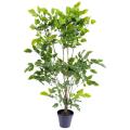 Palissandre artificiel Plast