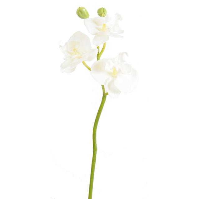 Tige de Phalaenopsis Mini Orchidée Artificielle de 45 cm de Haut Blanc