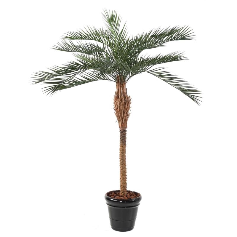 Phoenix Artificiel PLAST