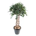 Ficus artificiel cage