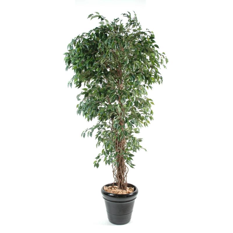 Ficus artificiel lianes petites feuilles