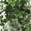 Lierre artificiel 320 feuilles UV Resistant