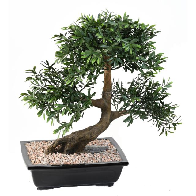 Bonsai Artificiel Black Willow en Coupe - Bonsais Artificiels