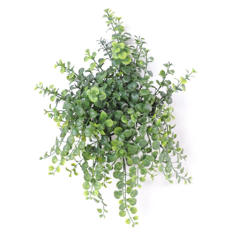 Peperonia artificiel Chute Plast