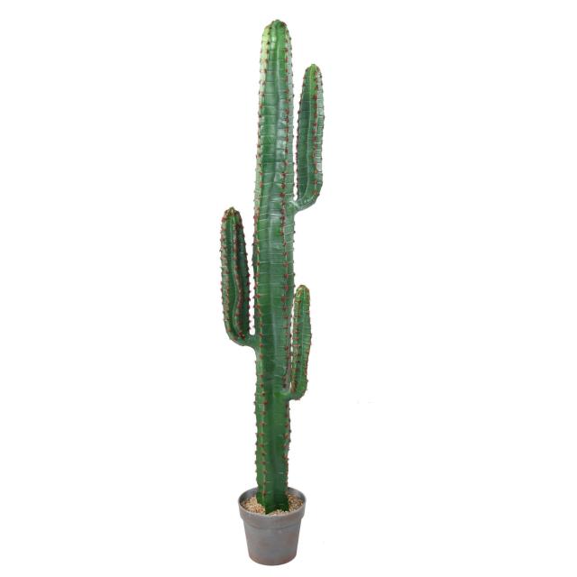 Cactus Artificiel Mexico 150