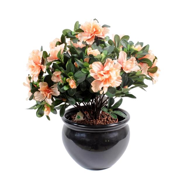Azalée Artificielle de 35 cm de Hauteur
