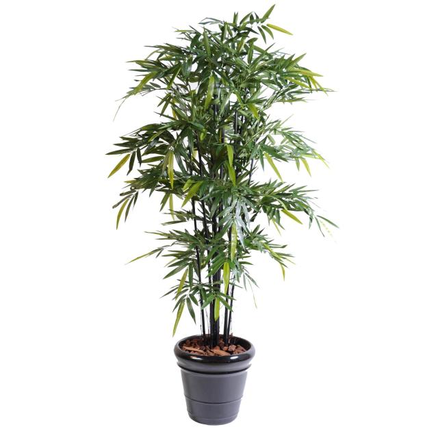 Bambou Artificiel Black Natural en Cannes de Bambou Naturel Noir