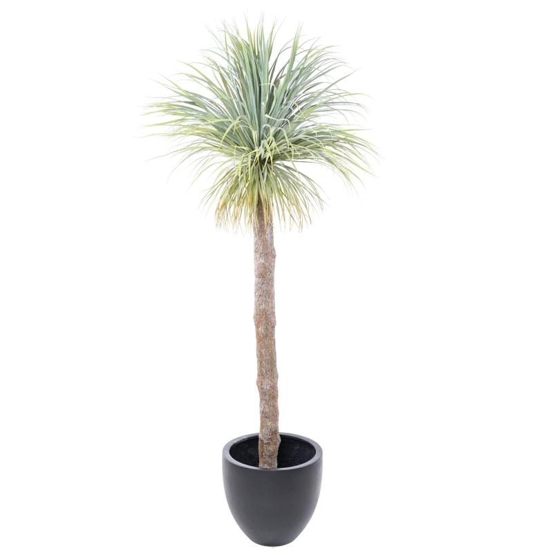 Agave Artificielle Geant 240