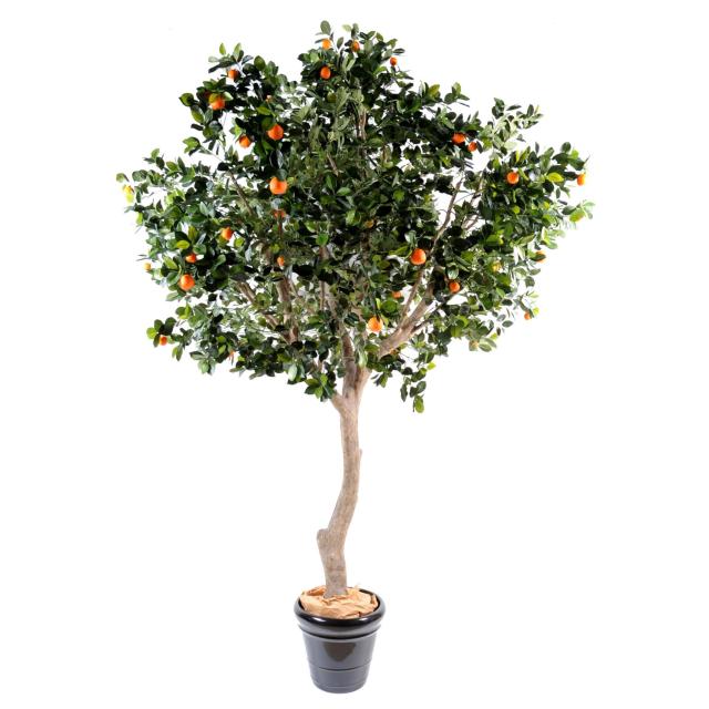 Oranger Artificiel Arbre Large de 2m80 de Hauteur