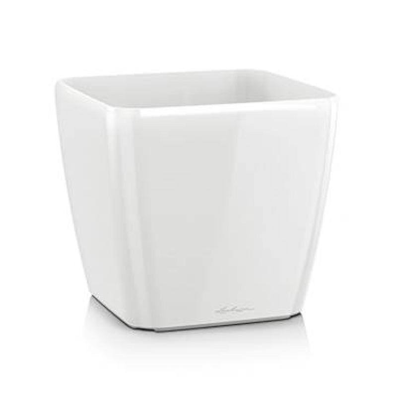 Quadro Premium - Blanc brillant