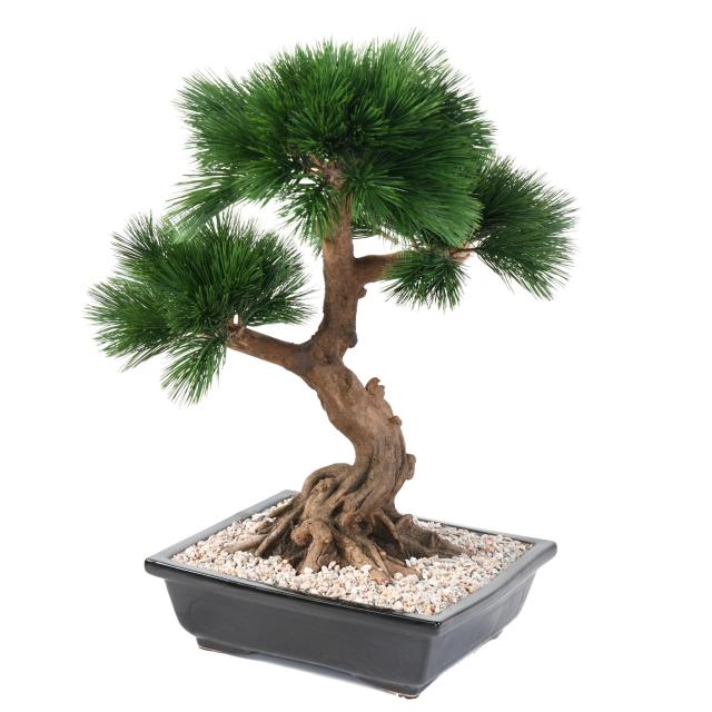 Bonsaï Artificiel Pin en Coupe - Bonsais Artificiels