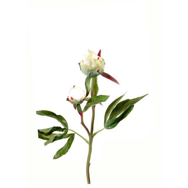 Pivoine Artificielle Fresh Touch en Tige de 40 cm de Haut 2 Couleurs
