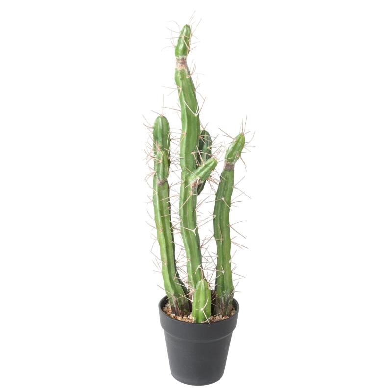 Cactus Artificiel Finger F
