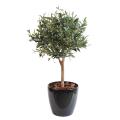 Olivier artificiel New Ball Tree